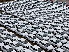 China Auto Exports Trend