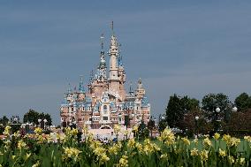 Shanghai Disney Resort