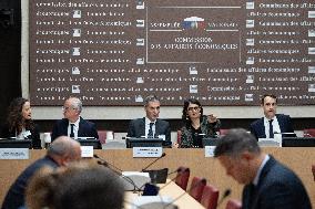 Hearing of Rodolphe Saade at the National Assembly - Paris