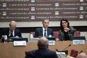 Hearing of Rodolphe Saade at the National Assembly - Paris