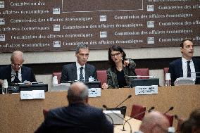 Hearing of Rodolphe Saade at the National Assembly - Paris