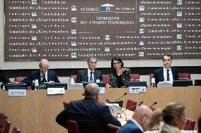 Hearing of Rodolphe Saade at the National Assembly - Paris