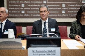 Hearing of Rodolphe Saade at the National Assembly - Paris