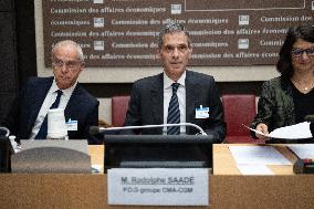 Hearing of Rodolphe Saade at the National Assembly - Paris