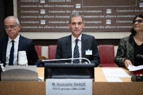 Hearing of Rodolphe Saade at the National Assembly - Paris