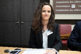 Hearing of Rodolphe Saade at the National Assembly - Paris