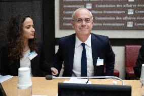 Hearing of Rodolphe Saade at the National Assembly - Paris