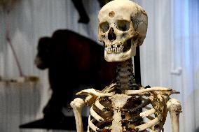 Museum of Mankind Celebrates 10th Anniversary - Paris