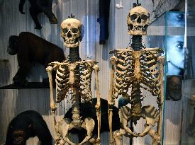 Museum of Mankind Celebrates 10th Anniversary - Paris