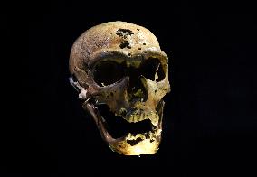 Museum of Mankind Celebrates 10th Anniversary - Paris