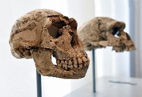 Museum of Mankind Celebrates 10th Anniversary - Paris