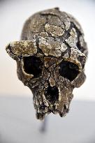 Museum of Mankind Celebrates 10th Anniversary - Paris