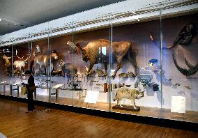 Museum of Mankind Celebrates 10th Anniversary - Paris