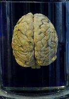 Museum of Mankind Celebrates 10th Anniversary - Paris