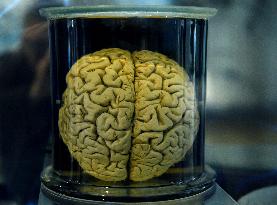Museum of Mankind Celebrates 10th Anniversary - Paris