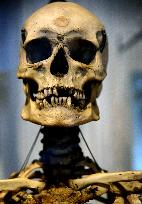 Museum of Mankind Celebrates 10th Anniversary - Paris