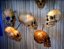 Museum of Mankind Celebrates 10th Anniversary - Paris