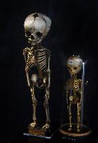 Museum of Mankind Celebrates 10th Anniversary - Paris