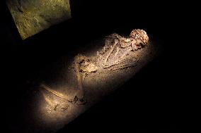 Museum of Mankind Celebrates 10th Anniversary - Paris