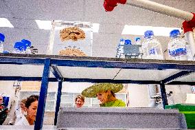 Queen Maxima Visits Netherlands Brain Bank - Amsterdam