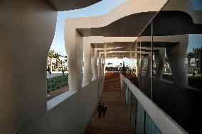 Menton Refuses to Return Cocteau's Works to The Wunderman Foundation-Museum