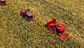 Seed Corn Planting Base in Zhangye