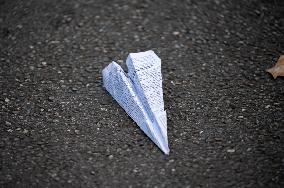 Nationwide Strikes Over Budget - Toulouse