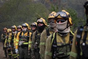 Forest Fire In Panton - Spain
