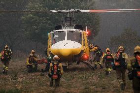 Forest Fire In Panton - Spain