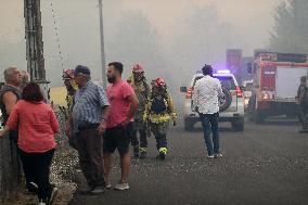 Forest Fire In Panton - Spain