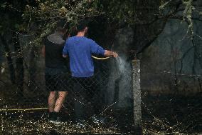 Forest Fire In Panton - Spain