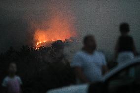 Forest Fire In Panton - Spain