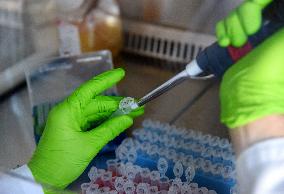 Pasteur Institute - Paris