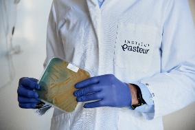 Pasteur Institute - Paris