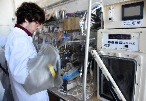 Pasteur Institute - Paris