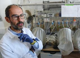 Pasteur Institute - Paris