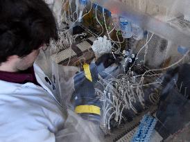 Pasteur Institute - Paris