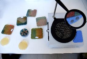 Pasteur Institute - Paris