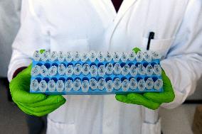 Pasteur Institute - Paris