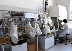 Pasteur Institute - Paris