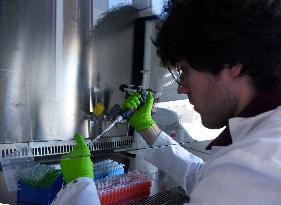 Pasteur Institute - Paris