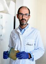 Pasteur Institute - Paris