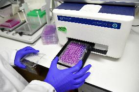 Pasteur Institute - Paris