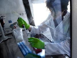 Pasteur Institute - Paris