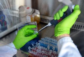 Pasteur Institute - Paris