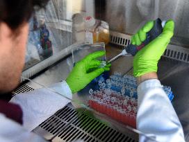 Pasteur Institute - Paris