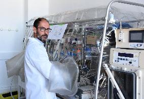 Pasteur Institute - Paris