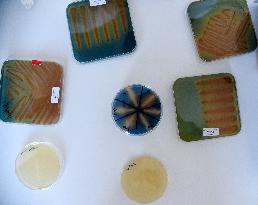 Pasteur Institute - Paris