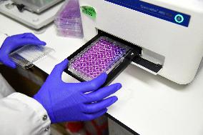 Pasteur Institute - Paris