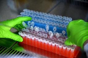 Pasteur Institute - Paris